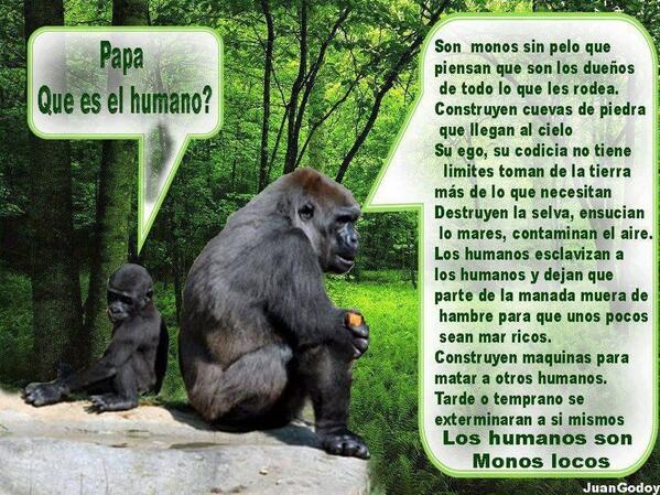 Susa_nana's tweet photo. Buena definición de humano desde el punto de vista animal... @AnimalPlanetPic #MonosLocos http://t.co/lYwQEJ5mwK