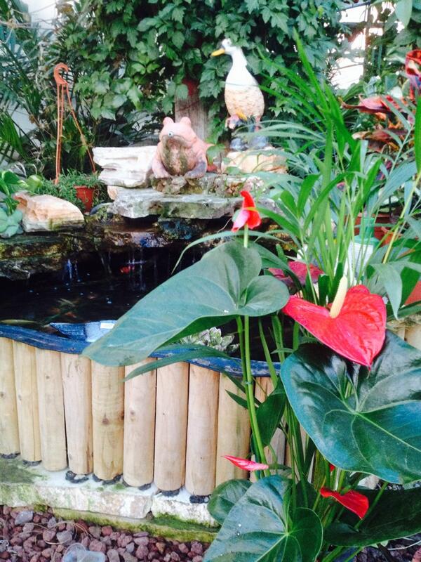 חמודי חגאזי (@mydr3) on Twitter photo 