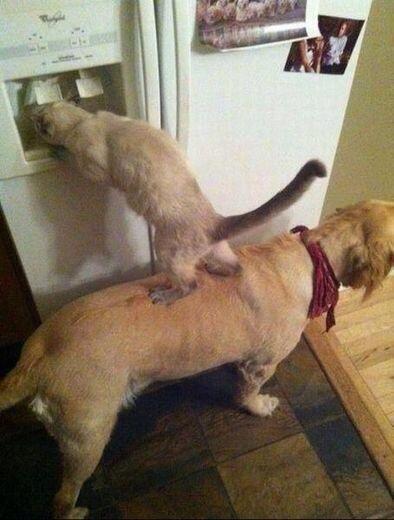 _Paisajes_'s tweet photo. Mi definición de crimen organizado. http://t.co/V39WhK9FBm