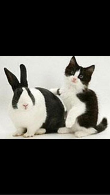 Haha!  http://t.co/LK4ETa32TI<a href="/tag/bondage"class="tags"><span>#bondage</span></a>