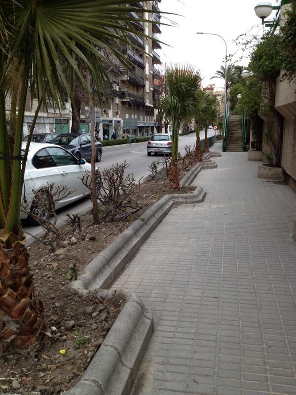 lagartoJaenero's tweet photo. Plantación de nuevas Palmeras calle Virgen de Cabeza. @QuejasJaen @JaenDenuncia http://t.co/5Y9TfftRRO