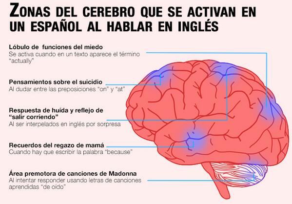 aprenderidiomas's tweet photo. 2 de cada 3 españoles se desmayan al intentar hablar en inglés http://t.co/tiER1Y4eJP vía @elmundotoday http://t.co/X035xnvGjF