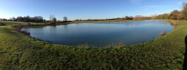 Tempted to do #freshwaterswimming in this pond? Totally natural; no Cl. We all want a #naturalswimmingpond at home!