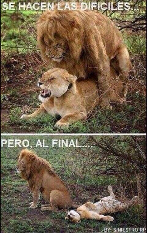 Siempre es igual! 😜