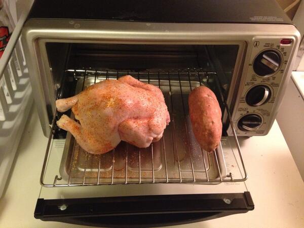 jonningham's tweet image. They said it couldn't be done. Get ready world. Tiny chicken in a toaster oven. #tinychicken #tinysweetpotato