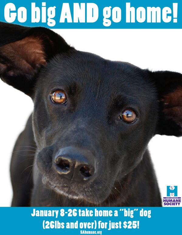 sahumane's tweet photo. There is still time! All dogs 26 pounds or over are available for a $25 adoption fee until January 26! #sanantonio http://t.co/x71ApALmQ9