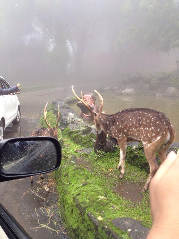 So_khalid77's tweet photo. صباح الخير http://t.co/oC1lln3nil