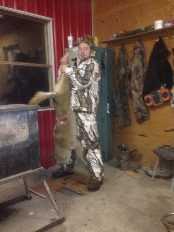 ryan_weerzy's tweet photo. First coyote down on the year #NBK http://t.co/04ah3Ne3cG