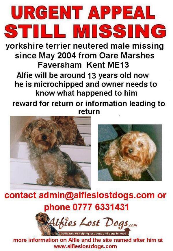 Help Find Poppy tweet media