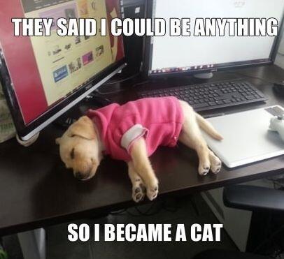 Kuizr's tweet photo. You copied really well. http://t.co/EuOtuKGiSr