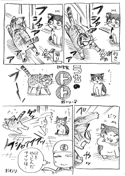 ねこまんが。第15話。 