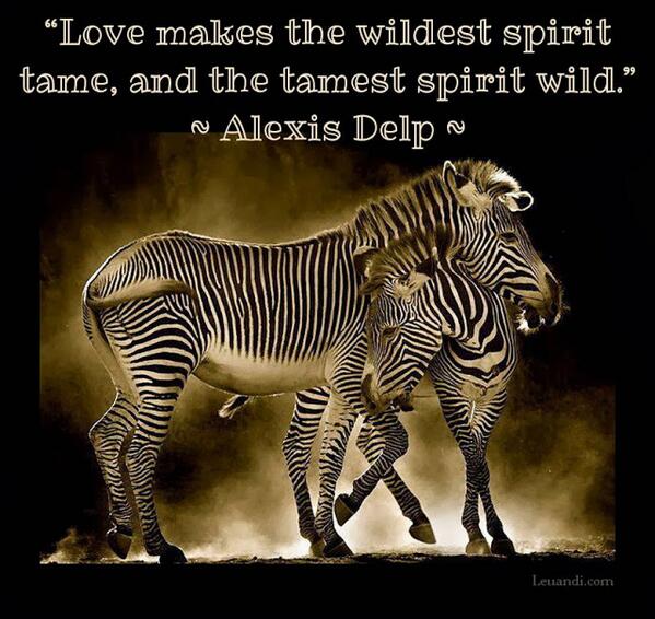 leuandi's tweet photo. Love Tames the Wildest Spirit http://t.co/AwvzXdw8ou http://t.co/s2A6gxqENY