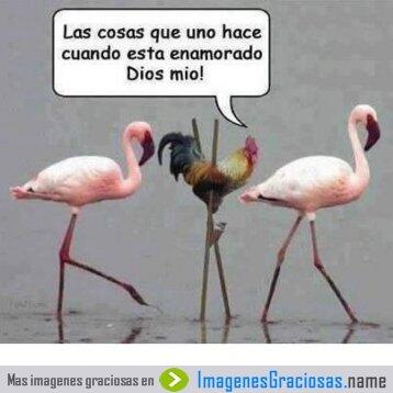 martinquiroa's tweet photo. @ElChapuz  cuando uno esta colgado http://t.co/FEr9Bd4q17