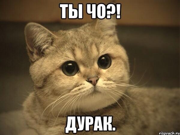 olya_kopteva's tweet photo. Рано мне замуж! Я глупая еще и не понимаю, что спорить с мужиком на политические темы БЕСПОЛЕЗНО! http://t.co/mlvr0oysCN
