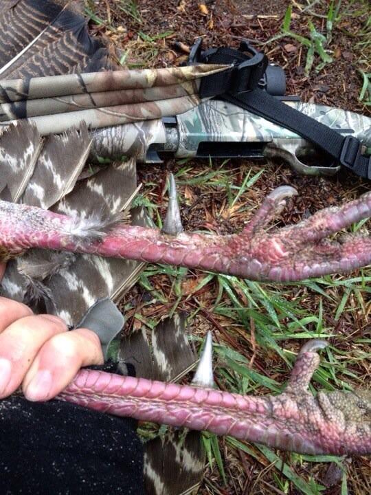 StrongCalls's tweet photo. Talk about hooks! http://t.co/QVHMdWJ3iT