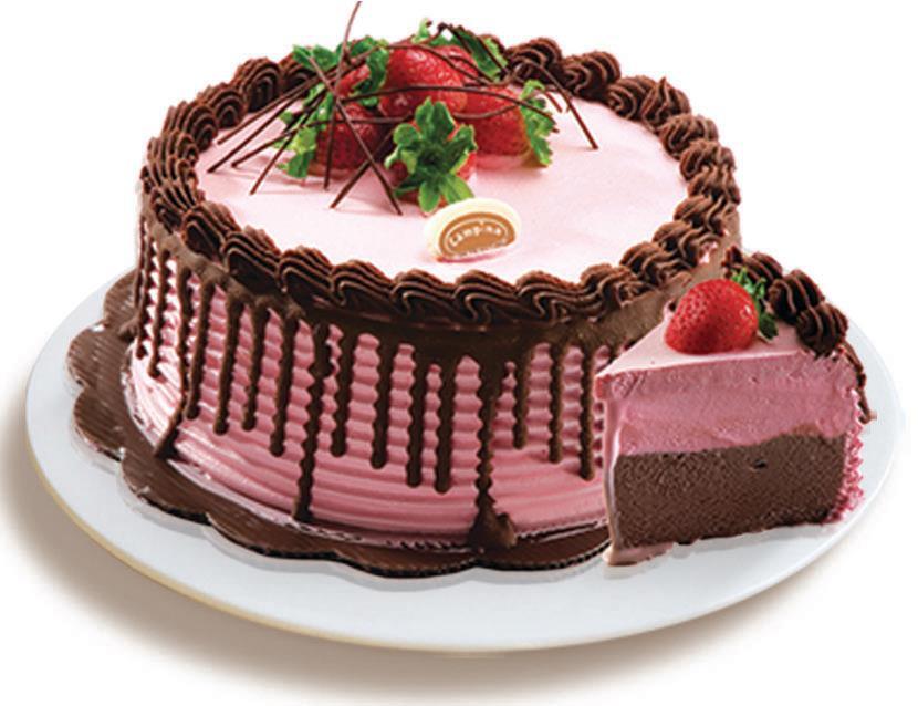 Campina ice cream cake discount