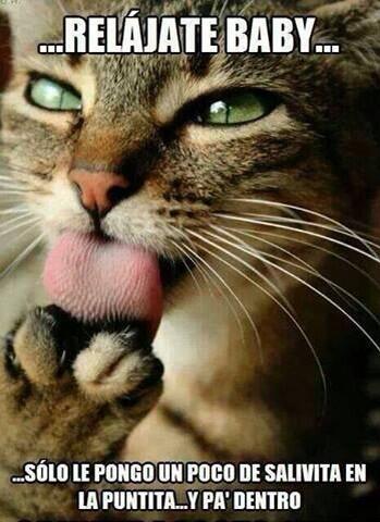 XavierMcCool's tweet image. Jejéje