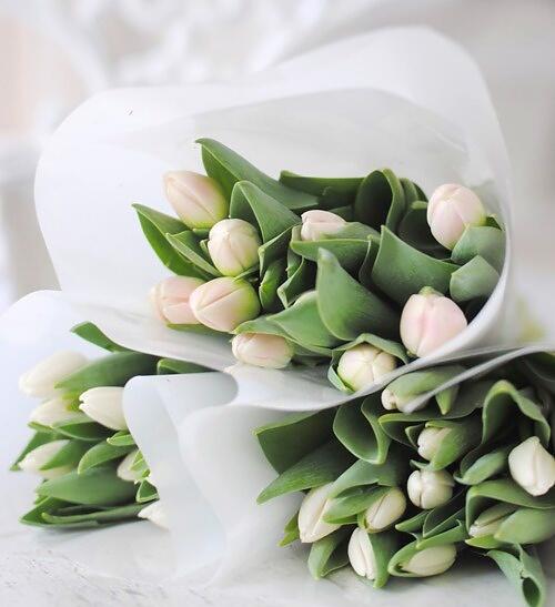 Tulpen, ze zijn er weer volop. Haal het voorjaar in huis, daar wordt je vrolijk van!