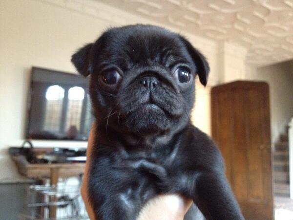 We have a new addition to the Cochrane clan, Bonnie!