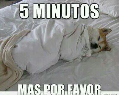 MejoresTwits's tweet photo. Este eres tú de buena mañana. http://t.co/MzwMvxghT9