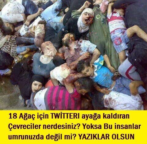18 ağaç için Twitteri ayağa kaldıran zihniyet,nerede acaba ?
#SuriyeİçinDuaVakti
#SuriyedeBebeklerÖlüyor_UyanDÜNYA