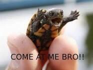 My approach to school today...