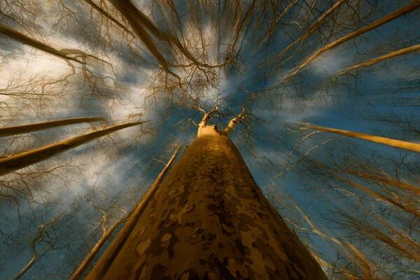 Gabriele Corno tweet media