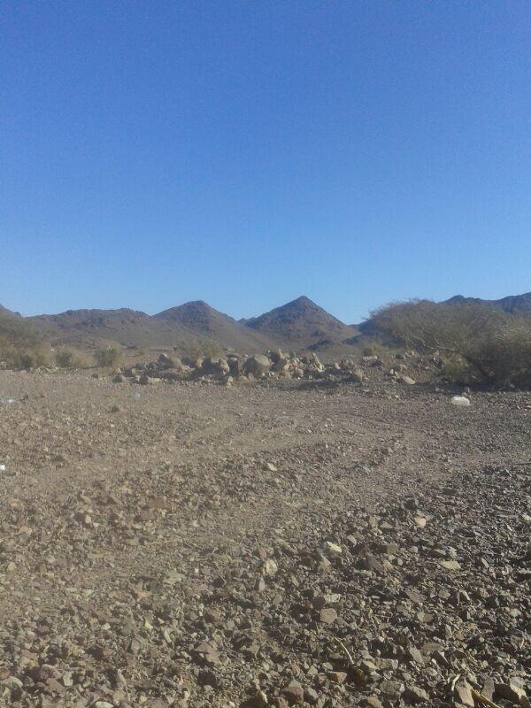 amureh550's tweet photo. في المزرعه،." http://t.co/zeNaXLYSq8