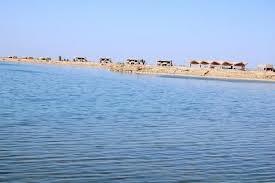Brightiraq's tweet photo. 25km north of #Samawa in #Muthanna province, lies Lake Sawa, an above ground level salty lake of unknown source #Iraq http://t.co/0NHcDC6lSr