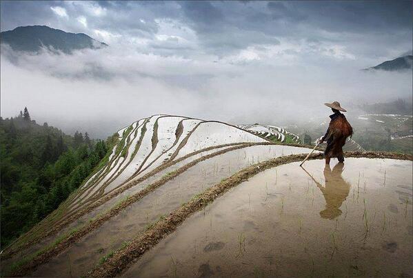 Gabriele_Corno's tweet photo. "The Lord of rice", Guangxi province, China http://t.co/7xF3wPDza6