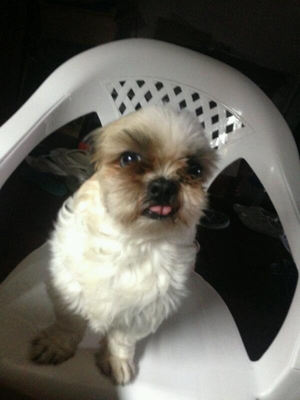 shokune's tweet photo. Shawty เวิ่นเว้อ จะกินขนม http://t.co/56xluNGTi5