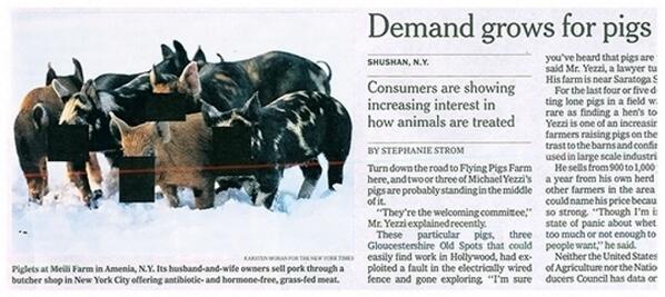 Sonny Le The Absurdity Of Censorship Malaysia Blacks Out Pictures Of Pigs In The Nytimes Http T Co C1huskq1iv Http T Co 1n0r3n6cki