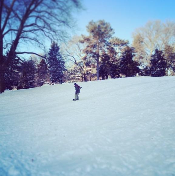 RinconesNY's tweet photo. El #CedarHill en #CentralPark se ha convertido, por un día, en una pista de nieve. Ahora mismo gente practicando snow http://t.co/D5zcdt06Ly