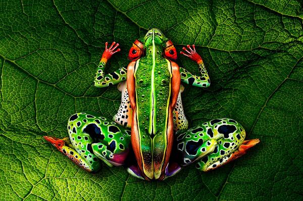 phantomnotebook's tweet photo. Body-painter Johannes Stötter painted 5 women to look like an amphibian http://t.co/HmbKhRpdSW