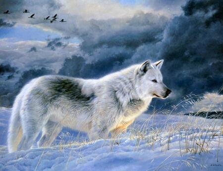 - walks out into the woods and shifts into wolf form and howls -