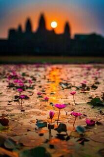 sunsetchasers_'s tweet photo. good morning ☺️☺️ http://t.co/R51WBCghDD