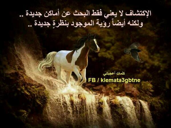 GoingAlnjah tweet picture