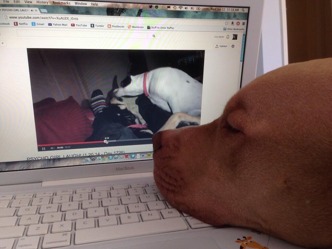 Livy’s pics and videos