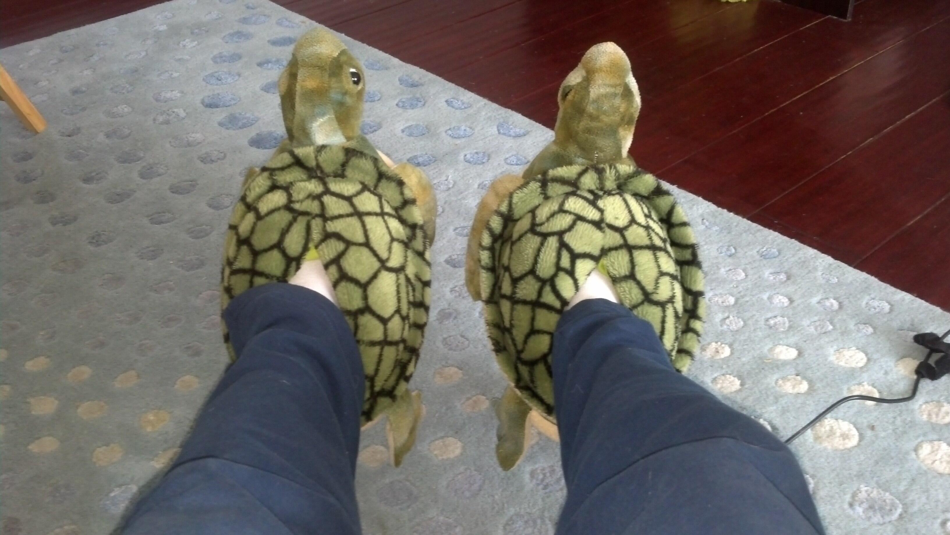 Sea hotsell turtle slippers