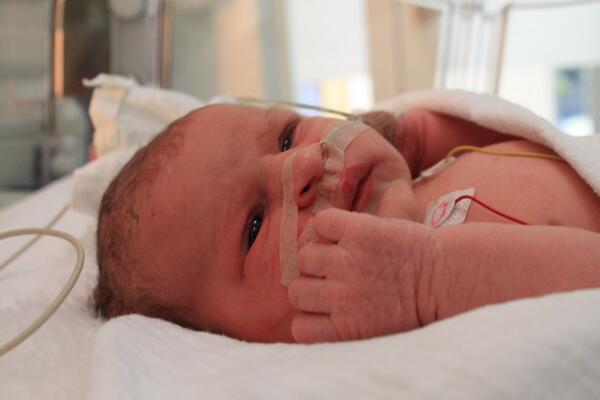 tomvanderh1's tweet photo. And here she is: Nora Vander Hoogerstraete °21/01/2014 #love #1dayold @Ellen_DeWilde http://t.co/AM3FWoxKcj