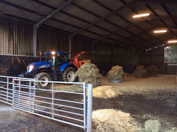 RossizFlock's tweet photo. Now that's how you bed up the lambing shed! #lambingtime http://t.co/WbdL192u5u