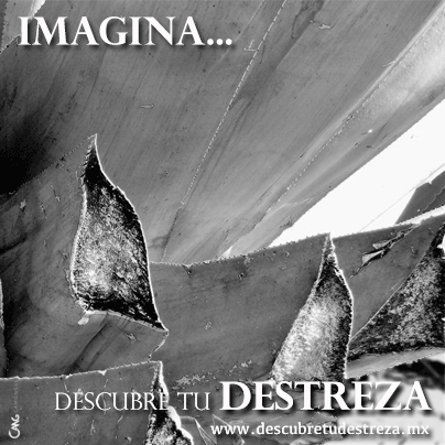 TuDestreza's tweet photo. ¡Sé parte del inicio! IMAGINA y cuéntanos, ¿de qué crees que se trata está página? #DescubreTuDestreza http://t.co/h7fQZEn6I6
