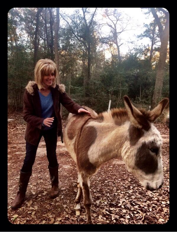 BethMooreLPM's tweet image. Ok. So, y&apos;all, this dude just wandered up in my yard. I&apos;m in love.  #countryproblems