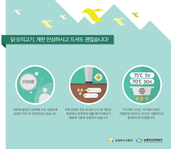 [조류인플루엔자] 닭, 오리고기, 계란.  75도에서 5분이상만 가열하면 안심하고 드셔도 괜찮습니다. ^^