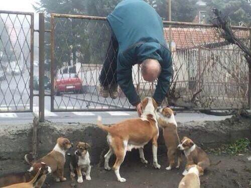 SingleWithDogss tweet picture