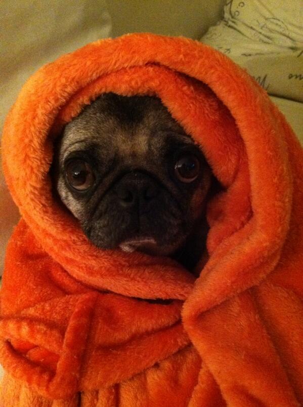 JDers_'s tweet photo. "E.T. Phone Home." http://t.co/VUVwRwbiMI