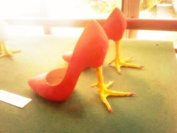 LasMusasOficial's tweet photo. Chéquense estos zapatos para Hermusas http://t.co/TMLoVsSAqB