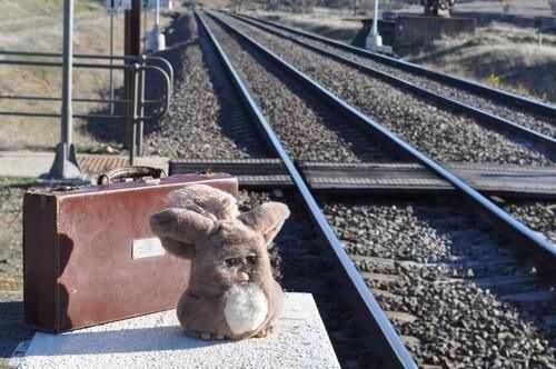 SummerTimeMind's tweet photo. Waiting for the midnight train going anywhere http://t.co/u2GdFh1z0T