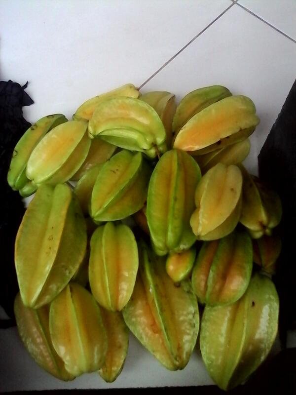 pardha_ tweet picture