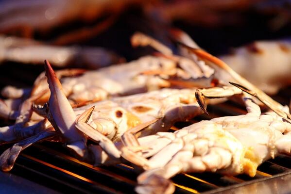 ChefsTableSamui tweet picture